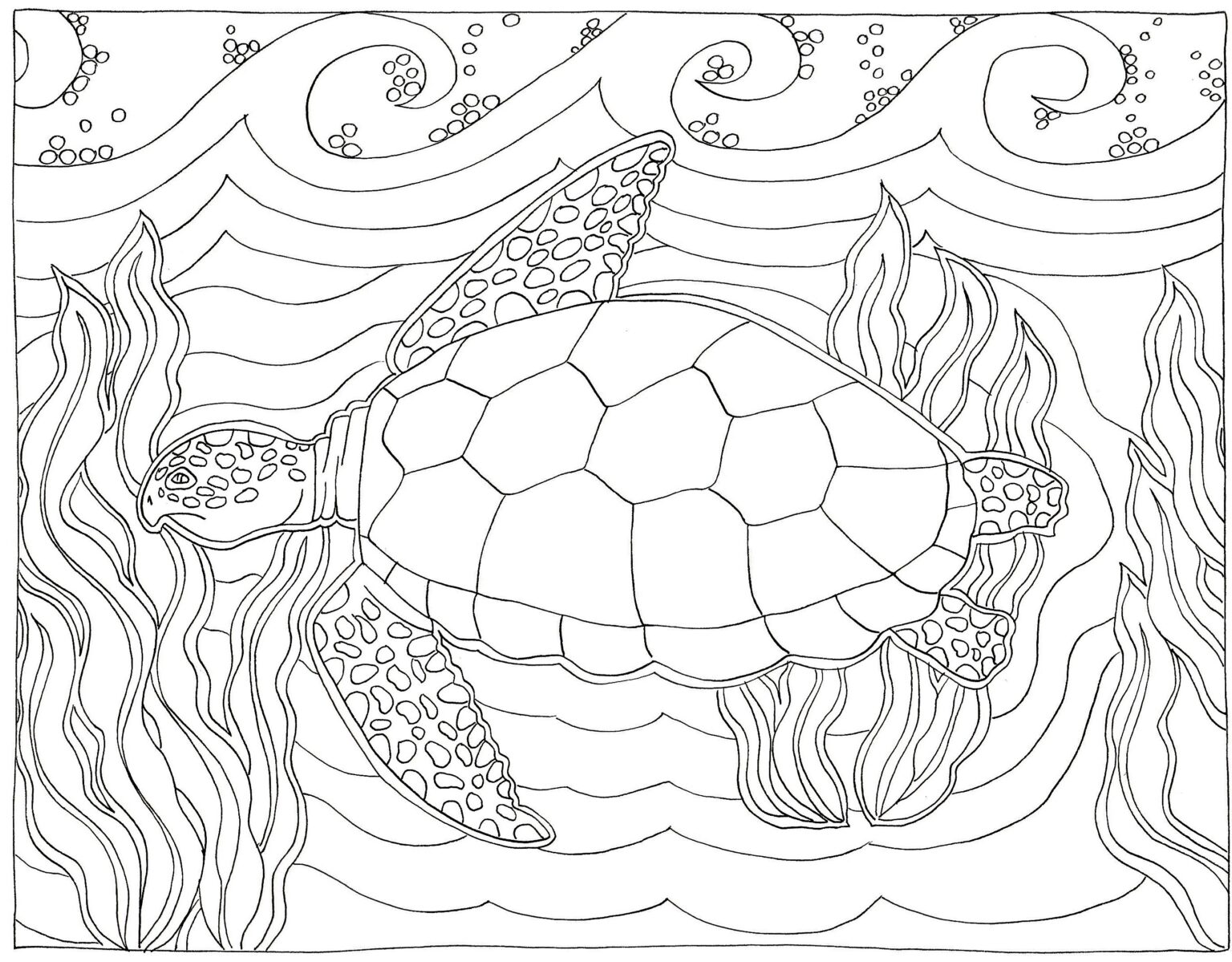 sea-turtle-creativity-sparks